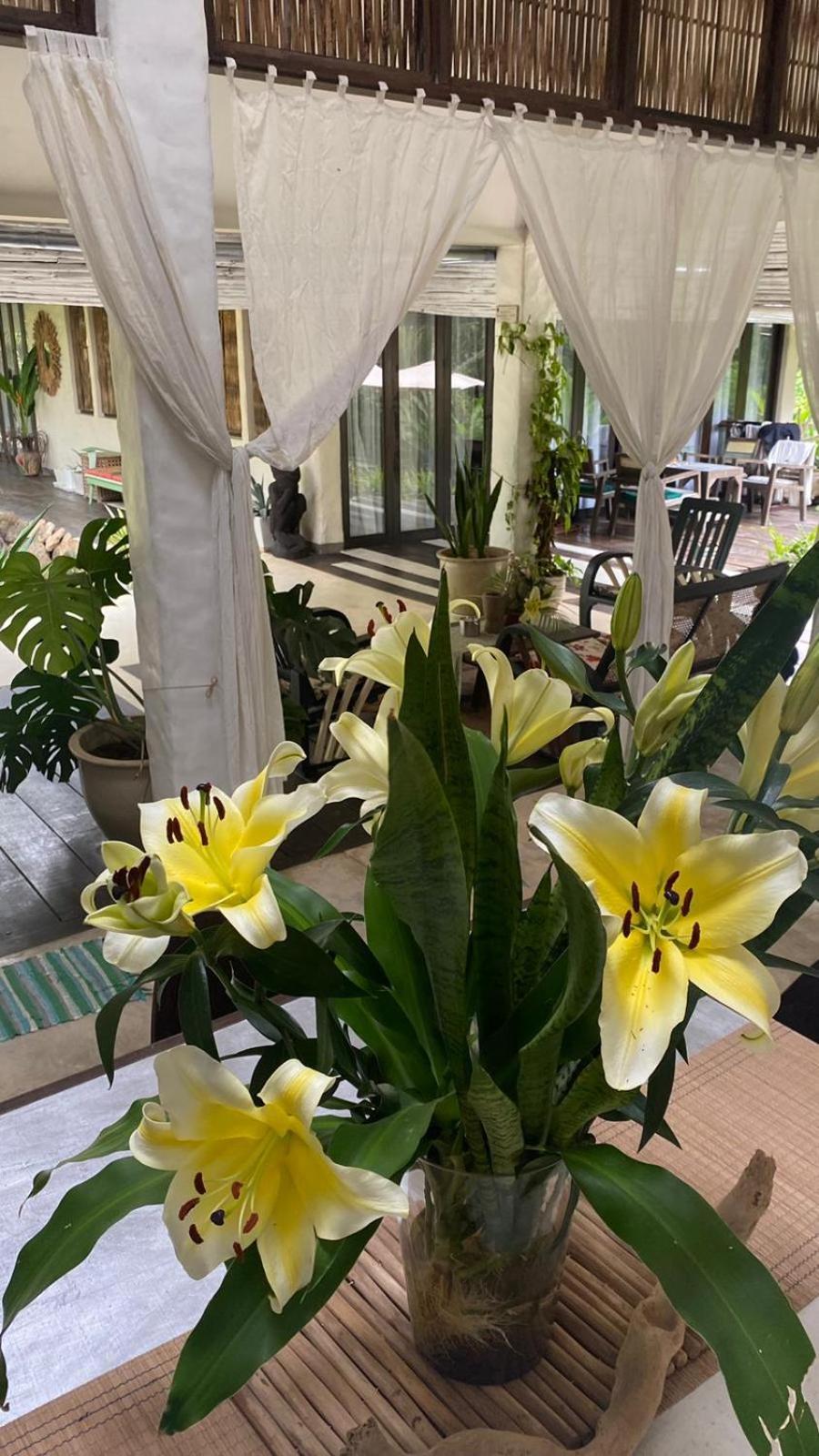 לינה וארוחת בוקר קו צ'אנג Maddekehaoo Eco Mansion מראה חיצוני תמונה