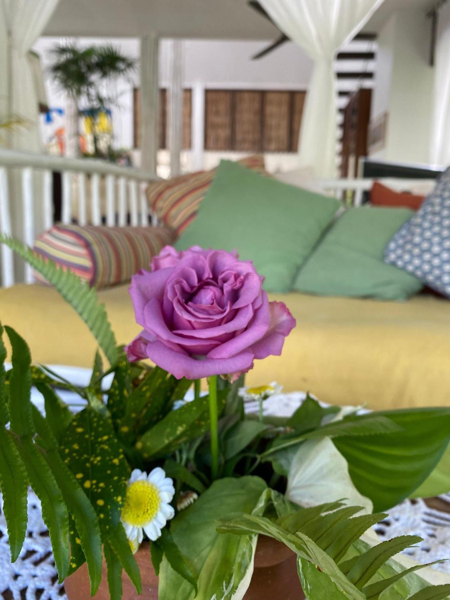 לינה וארוחת בוקר קו צ'אנג Maddekehaoo Eco Mansion מראה חיצוני תמונה